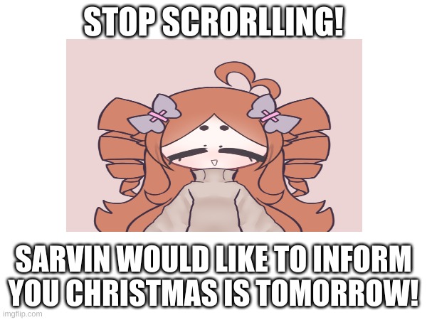 SARVIN!!! | STOP SCRORLLING! SARVIN WOULD LIKE TO INFORM YOU CHRISTMAS IS TOMORROW! | image tagged in christmas | made w/ Imgflip meme maker
