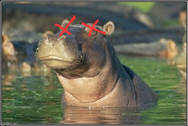 Skeptical Hippo | image tagged in skeptical hippo | made w/ Imgflip meme maker