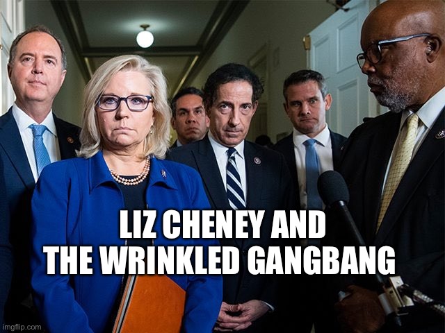 J6 Committee | LIZ CHENEY AND THE WRINKLED GANGBANG | image tagged in j6 committee | made w/ Imgflip meme maker
