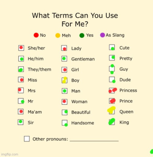 Pronouns Sheet | image tagged in pronouns sheet | made w/ Imgflip meme maker