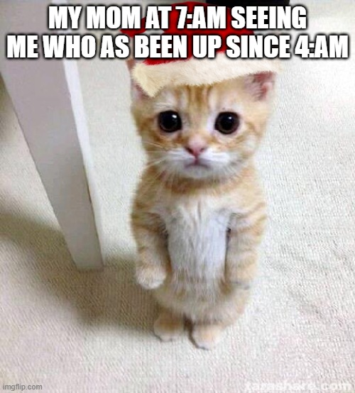 it's so true | MY MOM AT 7:AM SEEING ME WHO AS BEEN UP SINCE 4:AM | image tagged in memes,cute cat | made w/ Imgflip meme maker