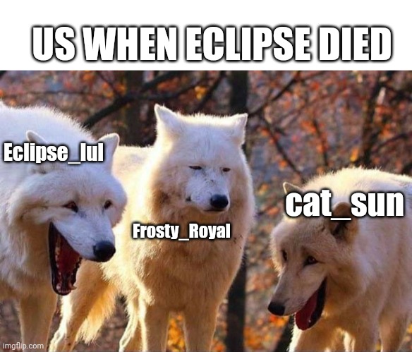 I'm the only one withouth caps lol |  US WHEN ECLIPSE DIED; Eclipse_lul; cat_sun; Frosty_Royal | image tagged in laughing wolf | made w/ Imgflip meme maker