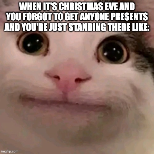 Beluga | WHEN IT'S CHRISTMAS EVE AND YOU FORGOT TO GET ANYONE PRESENTS AND YOU'RE JUST STANDING THERE LIKE: | image tagged in beluga | made w/ Imgflip meme maker