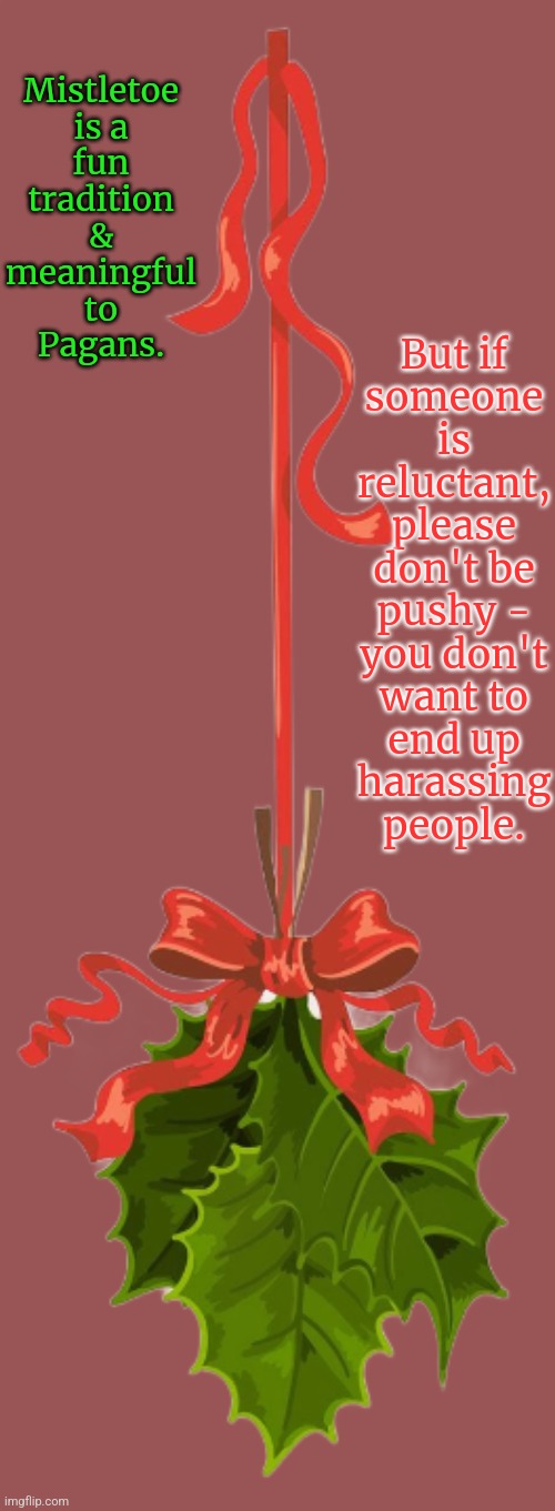 Keep it safe & enjoyable for everyone. | Mistletoe is a fun tradition & meaningful to Pagans. But if
someone
is
reluctant,
please
don't be
pushy -
you don't
want to
end up
harassing
people. | image tagged in mistletoe,christmas,getting respect giving respect,lgbt | made w/ Imgflip meme maker