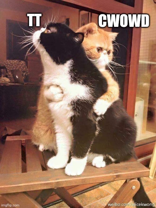 cats hugging | CWOWD; TT | image tagged in cats hugging | made w/ Imgflip meme maker