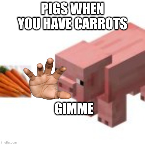 new meme | PIGS WHEN YOU HAVE CARROTS; GIMME | image tagged in got carrots,relatable | made w/ Imgflip meme maker