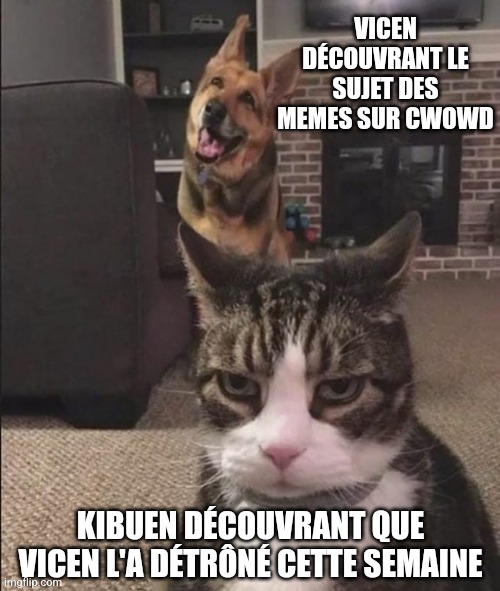 Happy Dog and Annoyed Cat | VICEN DÉCOUVRANT LE SUJET DES MEMES SUR CWOWD; KIBUEN DÉCOUVRANT QUE VICEN L'A DÉTRÔNÉ CETTE SEMAINE | image tagged in happy dog and annoyed cat | made w/ Imgflip meme maker