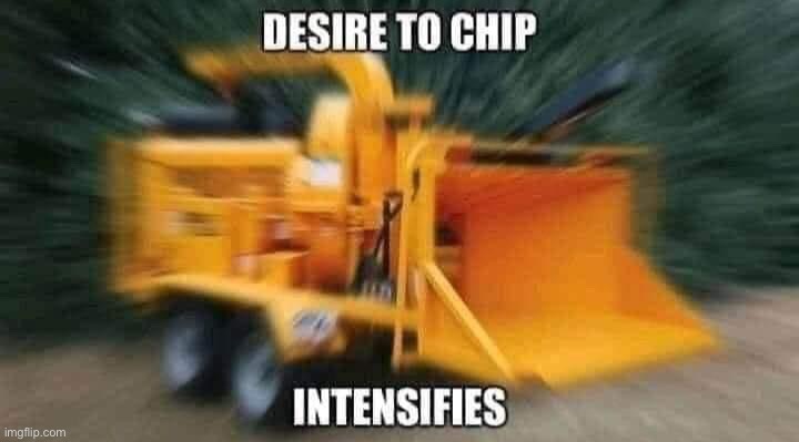 Desire to chip intensifies | image tagged in desire to chip intensifies | made w/ Imgflip meme maker