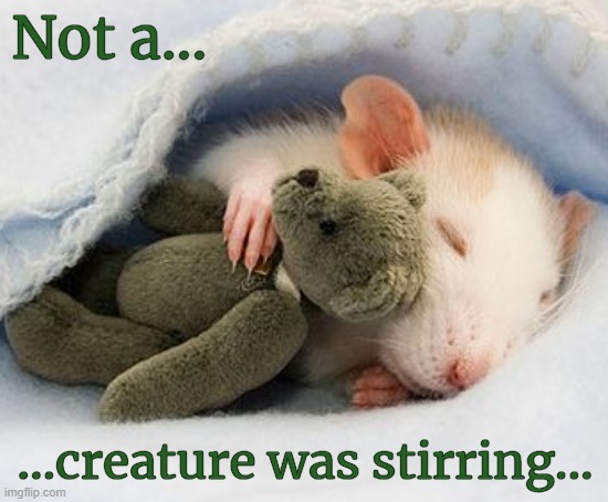 Not a... ...creature was stirring... | made w/ Imgflip meme maker