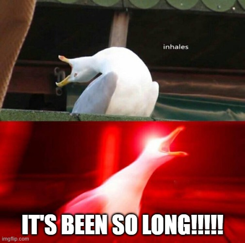 Inhaling seagull meme | IT'S BEEN SO LONG!!!!! | image tagged in inhaling seagull | made w/ Imgflip meme maker