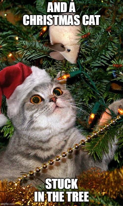 Christmas Cat stuck in a tree | AND A CHRISTMAS CAT; STUCK IN THE TREE | image tagged in christmas cat stuck in a tree | made w/ Imgflip meme maker