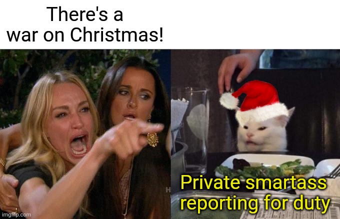 Woman Yelling At Cat |  There's a war on Christmas! Private smartass reporting for duty | image tagged in memes,woman yelling at cat | made w/ Imgflip meme maker