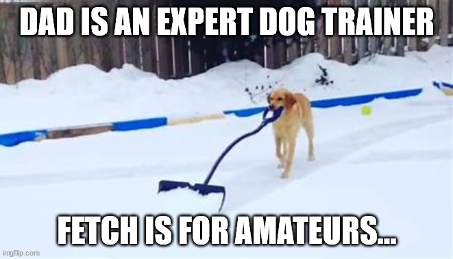 Dad knows what is important in training dogs... | DAD IS AN EXPERT DOG TRAINER; FETCH IS FOR AMATEURS... | image tagged in dad joke | made w/ Imgflip meme maker