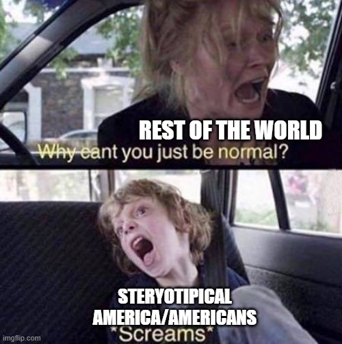 Why Can't You Just Be Normal | REST OF THE WORLD; STERYOTIPICAL AMERICA/AMERICANS | image tagged in why can't you just be normal | made w/ Imgflip meme maker