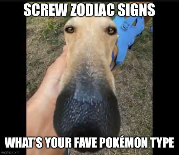 SCREW ZODIAC SIGNS; WHAT’S YOUR FAVE POKÉMON TYPE | made w/ Imgflip meme maker