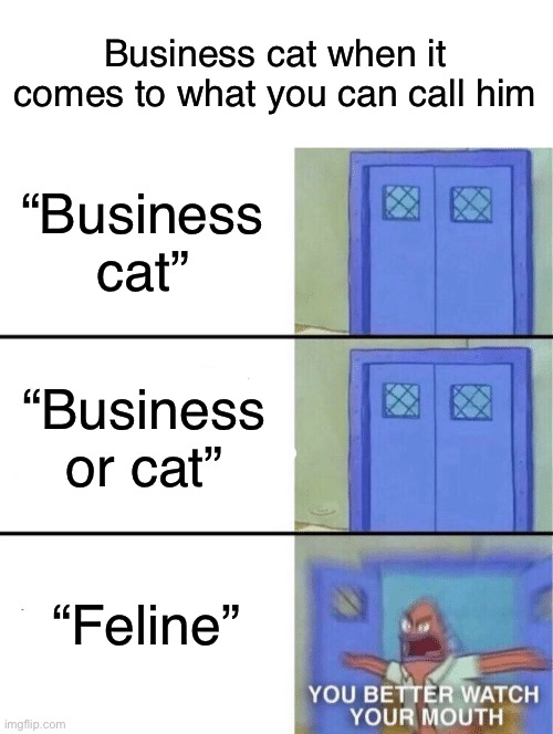 YOU BETTER WATCH YOUR MOUTH | Business cat when it comes to what you can call him; “Business cat”; “Business or cat”; “Feline” | image tagged in you better watch your mouth | made w/ Imgflip meme maker