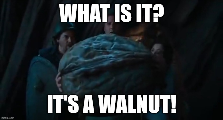 Remember kids, if I get drunk and start comparing your brains to a Walnut | WHAT IS IT? IT'S A WALNUT! | image tagged in funny | made w/ Imgflip meme maker