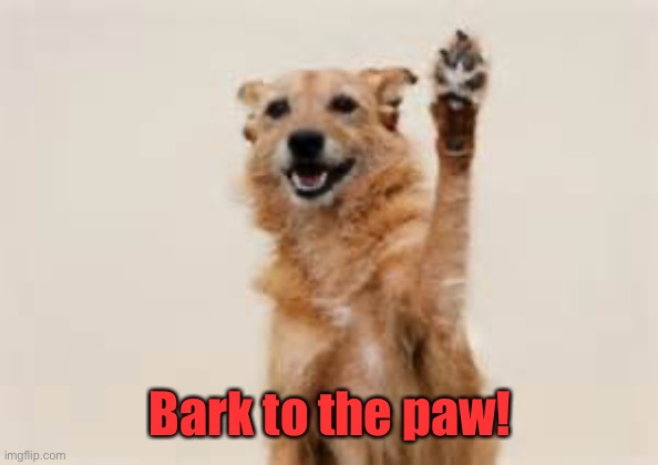 Dog paw | Bark to the paw! | image tagged in dog paw | made w/ Imgflip meme maker