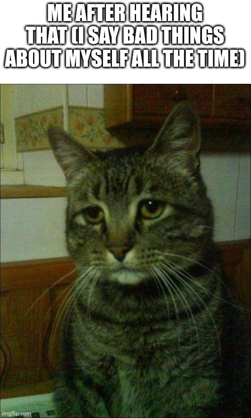 Depressed Cat Meme | ME AFTER HEARING THAT (I SAY BAD THINGS ABOUT MYSELF ALL THE TIME) | image tagged in memes,depressed cat | made w/ Imgflip meme maker