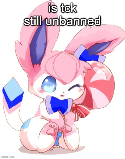 baby sylceon | is tck still unbanned | image tagged in baby sylceon | made w/ Imgflip meme maker