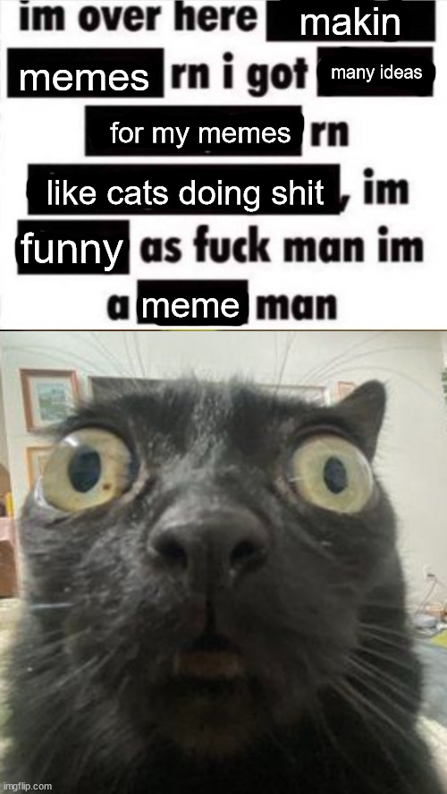 new temp | makin; memes; many ideas; for my memes; like cats doing shit; funny; meme | image tagged in im over here,jinx staring | made w/ Imgflip meme maker
