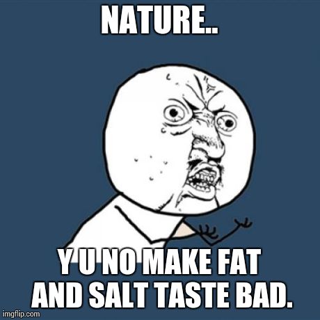 Y U No Meme | NATURE.. Y U NO MAKE FAT AND SALT TASTE BAD. | image tagged in memes,y u no | made w/ Imgflip meme maker