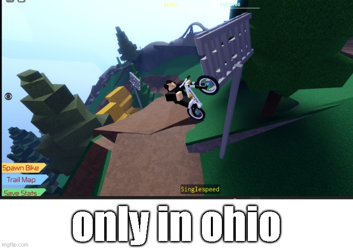 only in ohio | image tagged in roblox,wolf_ridge | made w/ Imgflip meme maker