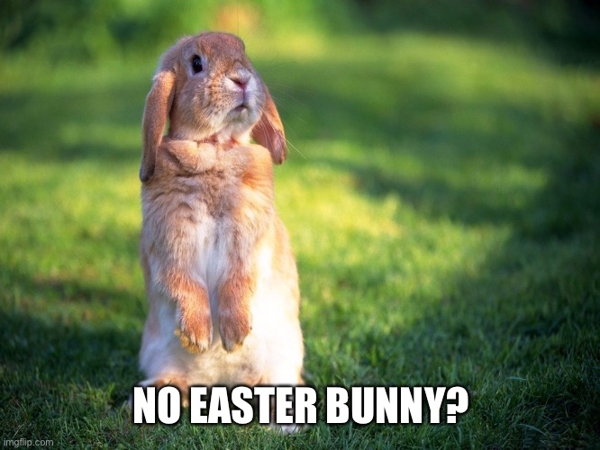No Easter Bunny?! | NO EASTER BUNNY? | image tagged in no easter bunny | made w/ Imgflip meme maker