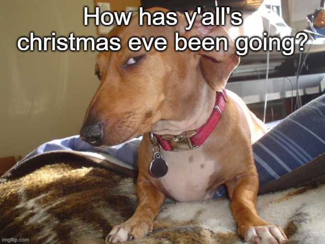 Mine has been fine, I made cookies (way too many), ate chile (the ham was udercooked,) etc | How has y'all's christmas eve been going? | made w/ Imgflip meme maker