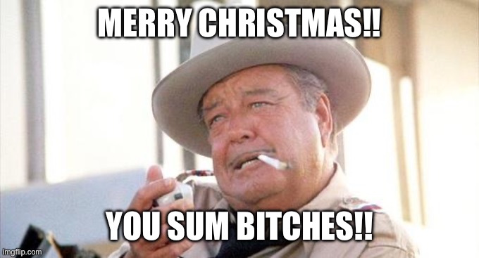 Christmas gifs | MERRY CHRISTMAS!! YOU SUM BITCHES!! | image tagged in buford t justice | made w/ Imgflip meme maker