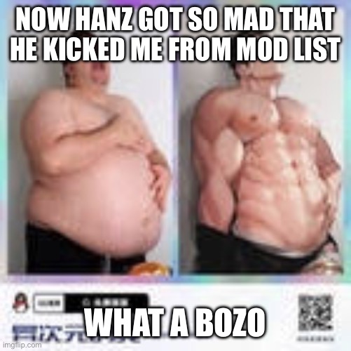 Nikocado anime | NOW HANZ GOT SO MAD THAT HE KICKED ME FROM MOD LIST; WHAT A BOZO | image tagged in nikocado anime | made w/ Imgflip meme maker