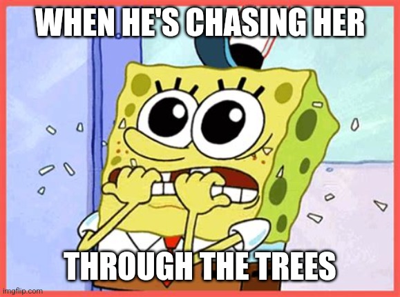 Spongebob Nail Biter | WHEN HE'S CHASING HER THROUGH THE TREES | image tagged in spongebob nail biter | made w/ Imgflip meme maker