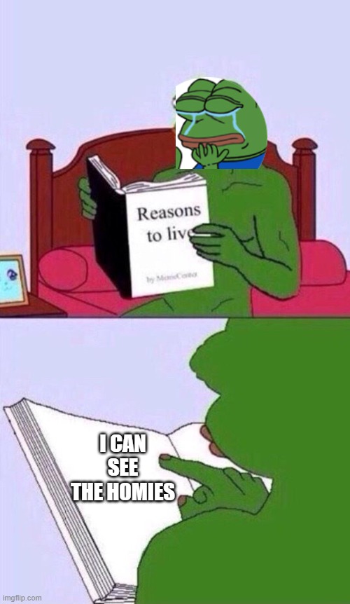 Reasons to live | I CAN SEE THE HOMIES | image tagged in reasons to live pepe the frog,memes,meme,funny | made w/ Imgflip meme maker