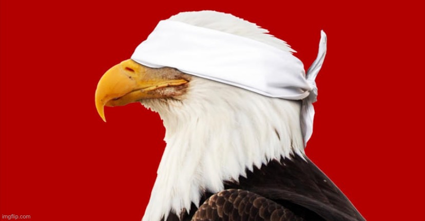 . | image tagged in bald eagle in denial | made w/ Imgflip meme maker