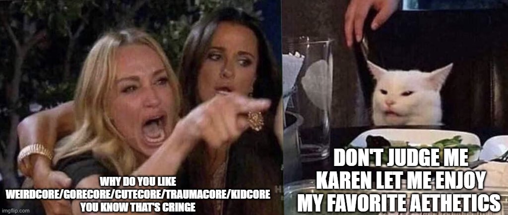 woman yelling at cat | WHY DO YOU LIKE WEIRDCORE/GORECORE/CUTECORE/TRAUMACORE/KIDCORE YOU KNOW THAT'S CRINGE; DON'T JUDGE ME KAREN LET ME ENJOY MY FAVORITE AETHETICS | image tagged in woman yelling at cat | made w/ Imgflip meme maker