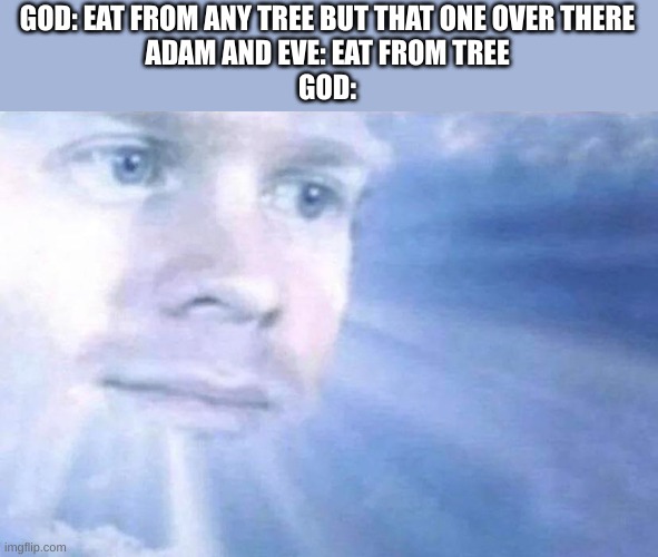 Adam. Eve. One rule. Just ONE RULE. YOU HAD ONE RULE. | GOD: EAT FROM ANY TREE BUT THAT ONE OVER THERE
ADAM AND EVE: EAT FROM TREE
GOD: | image tagged in blinking white guy sun | made w/ Imgflip meme maker