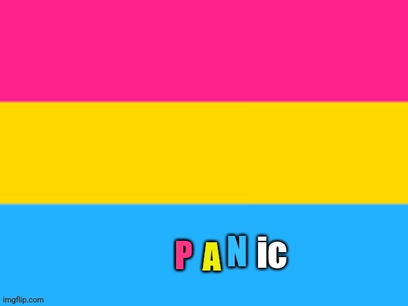 I made template for my fellow pansexuals | image tagged in panic | made w/ Imgflip meme maker