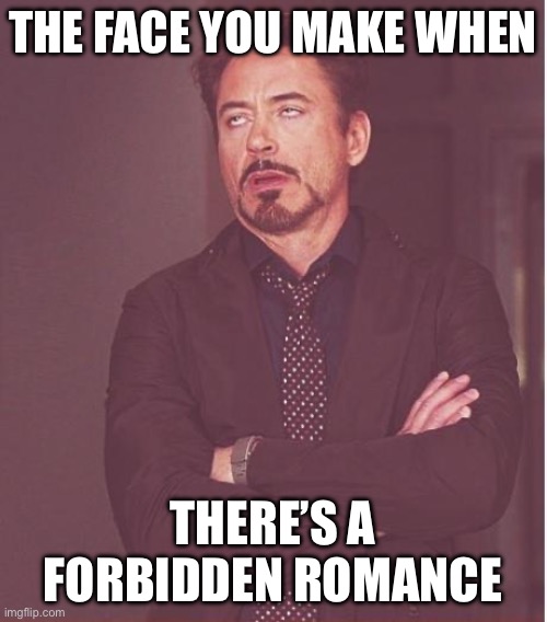 >:( | THE FACE YOU MAKE WHEN; THERE’S A FORBIDDEN ROMANCE | image tagged in memes,face you make robert downey jr | made w/ Imgflip meme maker