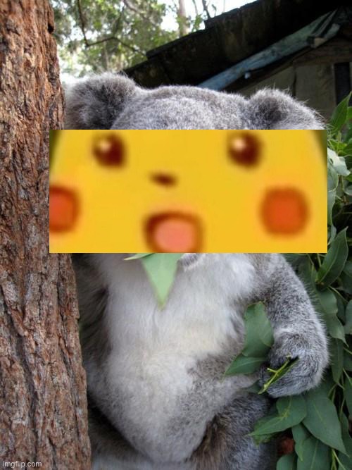 Surprised Koala Meme | image tagged in memes,surprised koala,koala,surprised pikachu | made w/ Imgflip meme maker