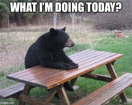 Bad Luck Bear | WHAT I’M DOING TODAY? | image tagged in memes,bad luck bear,bear | made w/ Imgflip meme maker