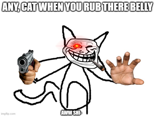 CATS: | ANY, CAT WHEN YOU RUB THERE BELLY; AWW SHI- | image tagged in cats,ohh shi,your dead,goodbye | made w/ Imgflip meme maker