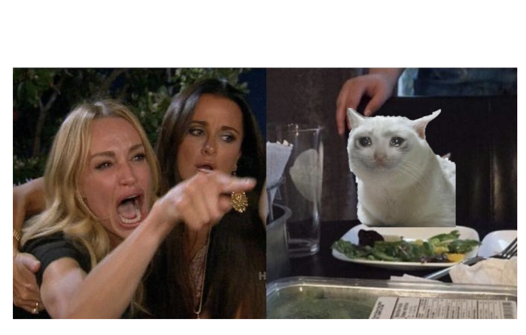 High Quality Woman shouting at crying cat Blank Meme Template