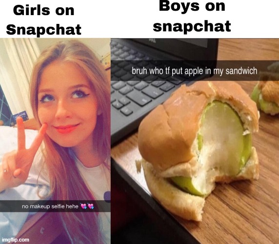 image tagged in memes | made w/ Imgflip meme maker