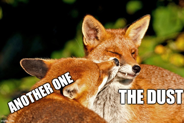 hheeeh | THE DUST; ANOTHER ONE | image tagged in fox,furry,the furry fandom,lol so funny,another one bites the dust | made w/ Imgflip meme maker
