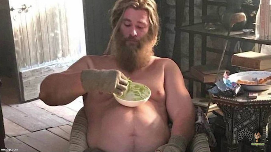 Fat Thor | image tagged in fat thor | made w/ Imgflip meme maker