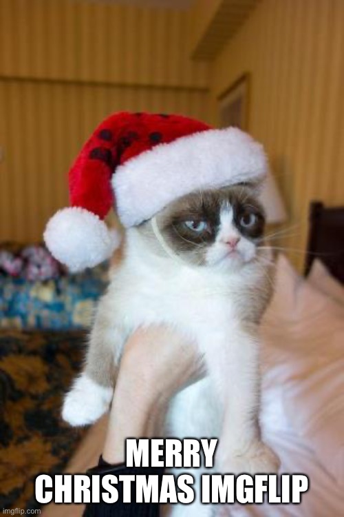 Merry Christmas! | MERRY CHRISTMAS IMGFLIP | image tagged in memes,grumpy cat christmas,grumpy cat,christmas | made w/ Imgflip meme maker