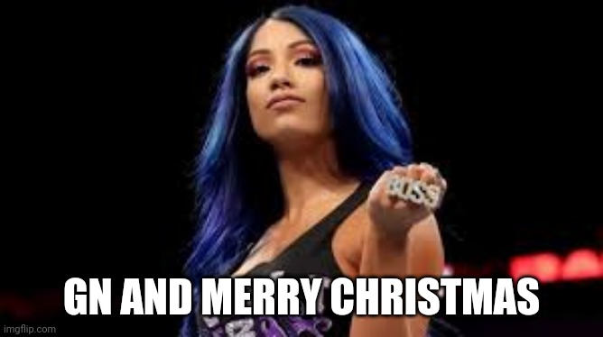 Sasha Banks | GN AND MERRY CHRISTMAS | image tagged in sasha banks | made w/ Imgflip meme maker