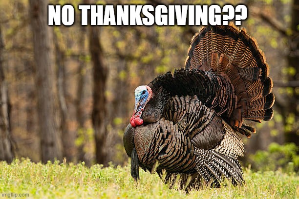 Happy turkey | NO THANKSGIVING?? | image tagged in happy turkey | made w/ Imgflip meme maker