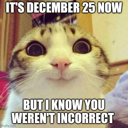 Smiling Cat Meme | IT'S DECEMBER 25 NOW BUT I KNOW YOU WEREN'T INCORRECT | image tagged in memes,smiling cat | made w/ Imgflip meme maker