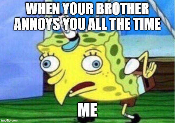 Mocking Spongebob | WHEN YOUR BROTHER ANNOYS YOU ALL THE TIME; ME | image tagged in memes,mocking spongebob | made w/ Imgflip meme maker
